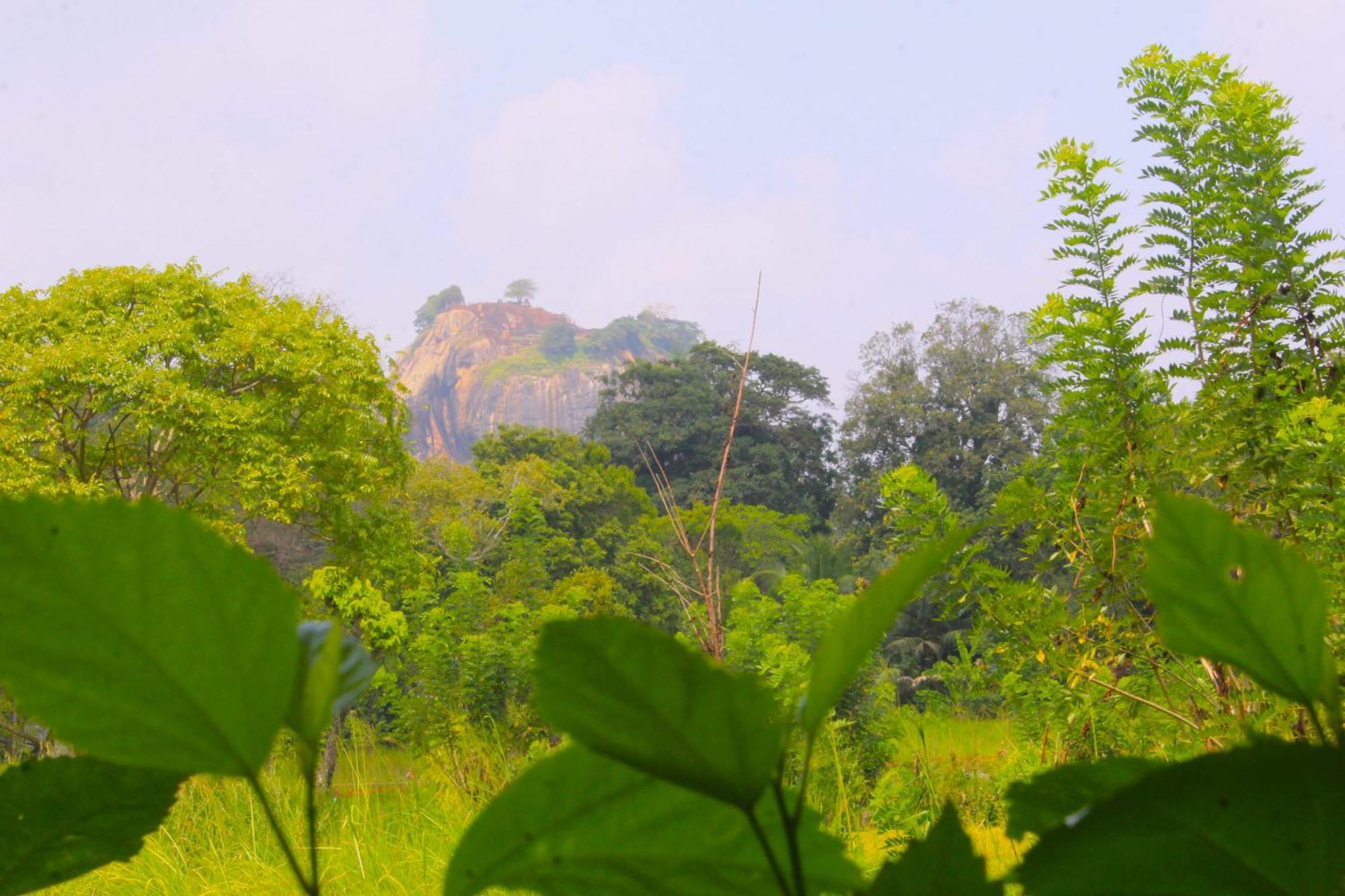 Sigiriya Palace View Εξωτερικό φωτογραφία