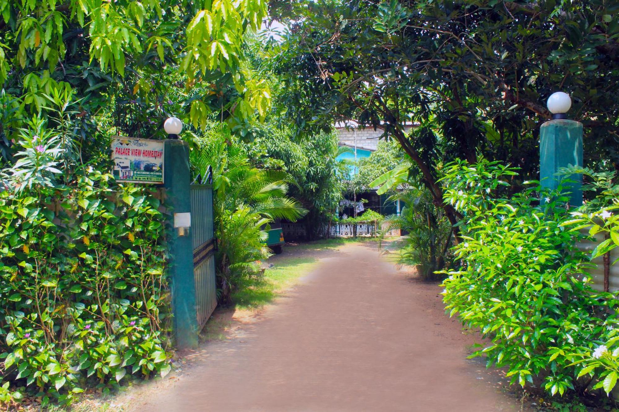 Sigiriya Palace View Εξωτερικό φωτογραφία